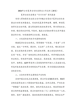 (25篇)2024年公安夏季治安打击整治工作总结.docx