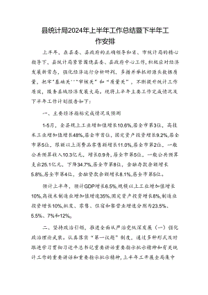 县统计局2024年上半年工作总结暨下半年工作安排1.docx