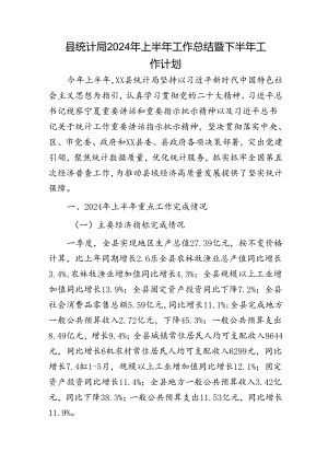 县统计局2024年上半年工作总结暨下半年工作计划2.docx