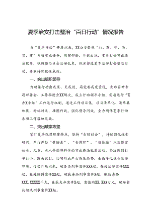 二十三篇2024年夏季治安打击整治行动情况汇报.docx