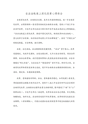 在法治轨道上深化改革心得体会.docx