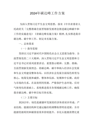 2024年碳达峰工作方案.docx