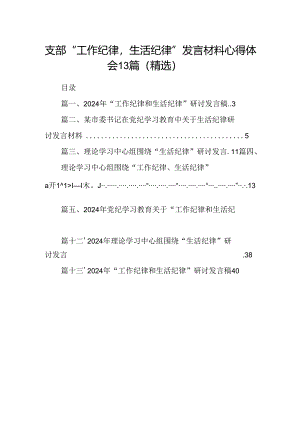 支部“工作纪律生活纪律”发言材料心得体会13篇（精选）.docx