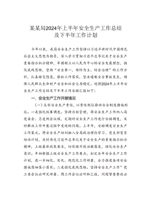 某某局2024年上半年安全生产工作总结及下半年工作计划.docx