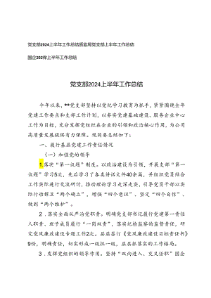 3篇 党支部2024上半年工作总结.docx