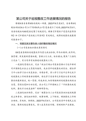 某公司关于巡视整改工作进展情况的报告.docx