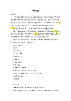 fire组合.docx