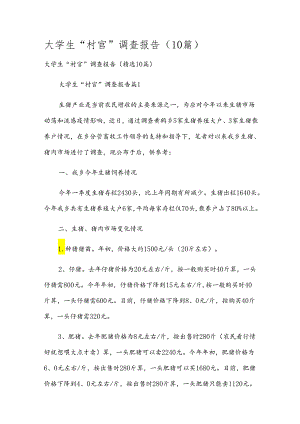 大学生“村官”调查报告（10篇）.docx