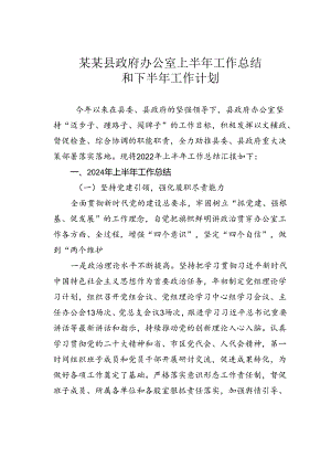 某某县政府办公室上半年工作总结和下半年工作计划.docx