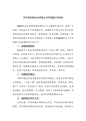 关于党支部2024年度上半年党建工作总结（共五篇）.docx