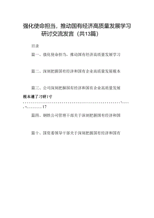 强化使命担当推动国有经济高质量发展学习研讨交流发言13篇（详细版）.docx