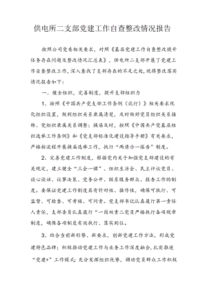 供电所二支部党建工作自查整改提升任务整改情况报告.docx