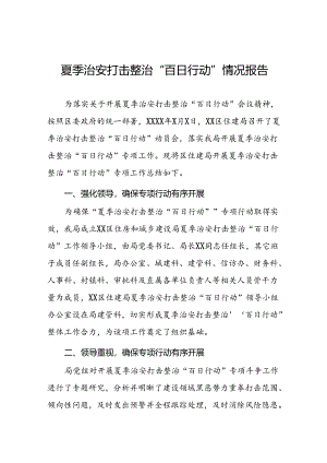 2024夏季治安打击整治“百日行动”工作总结十四篇.docx