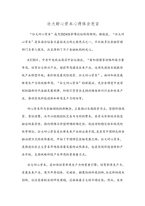 壮大耐心资本心得体会发言.docx
