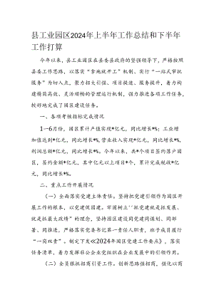 县工业园区2024年上半年工作总结和下半年工作打算.docx
