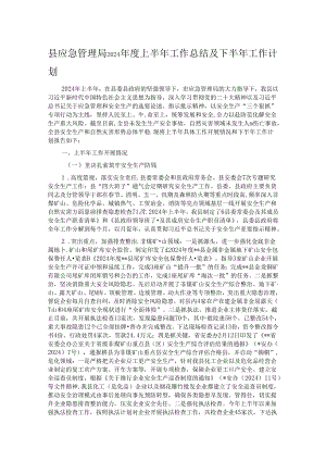 县应急管理局2024年度上半年工作总结及下半年工作计划.docx