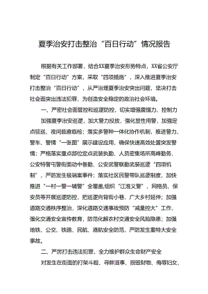 二十八篇2024公安开展夏季治安打击整治行动工作汇报.docx