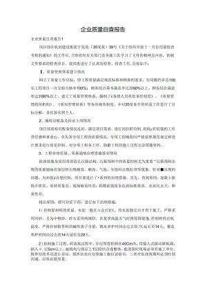 企业质量自查报告.docx