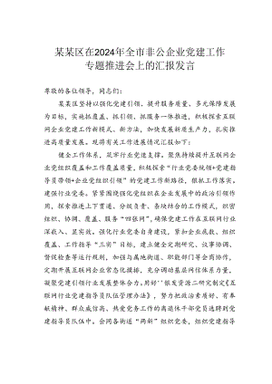 某某区在2024年全市非公企业党建工作专题推进会上的汇报发言.docx