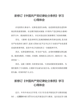 2024版新修订中国共产党纪律处分条例研讨发言材料十篇.docx