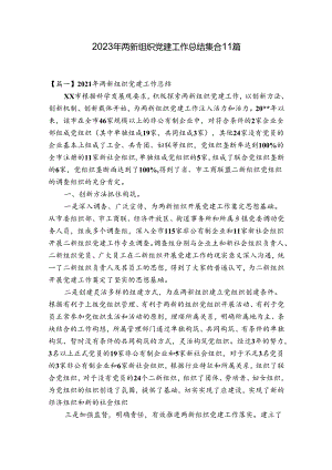 2023年两新组织党建工作总结集合11篇.docx