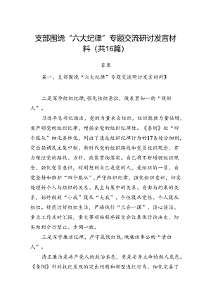 支部围绕“六大纪律”专题交流研讨发言材料16篇（详细版）.docx
