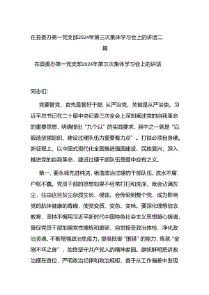 在县委办第一党支部2024年第三次集体学习会上的讲话二篇.docx