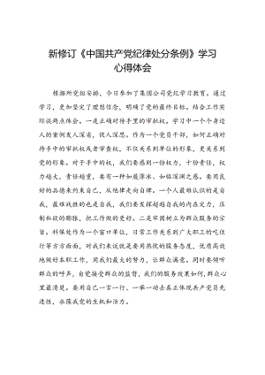 关于2024新修订中国共产党纪律处分条例的心得感悟十三篇.docx