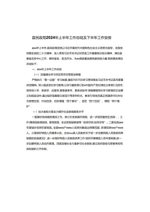县民政局2024年上半年工作总结及下半年工作安排.docx