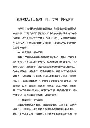 2024夏季治安打击整治“百日行动”情况汇报十四篇.docx