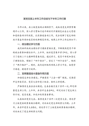 某党支部上半年工作总结与下半年工作打算（共五篇）.docx