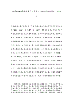 某系统2024年安全生产治本攻坚三年行动实施情况工作小结.docx