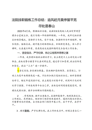 法院挂职锻炼工作总结：追风赶月莫停留 平芜尽处是春山.docx