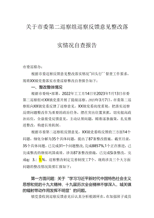 关于市委第二巡察组巡察反馈意见整改落实情况自查报告.docx