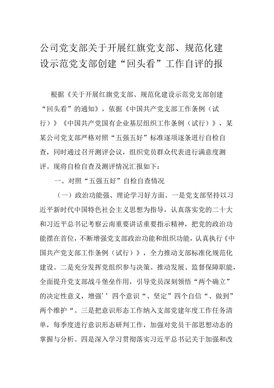 公司党支部关于开展红旗党支部、规范化建设示范党支部创建“回头看”工作自评的报告.docx_第1页