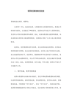 领导任职表态发言.docx