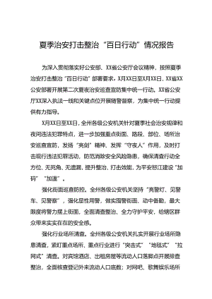 二十三篇2024年夏季治安打击整治“百日行动”情况报告.docx