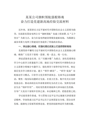 某某公司旗帜领航强根铸魂奋力打造党建新高地经验交流材料.docx