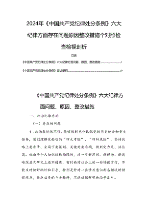 2024年《中国共产党纪律处分条例》六大纪律方面存在问题原因整改措施个对照检查检视剖析.docx
