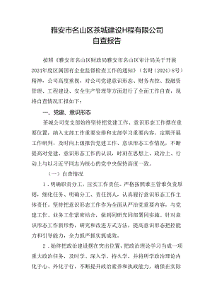 建筑公司自查报告4.30.docx