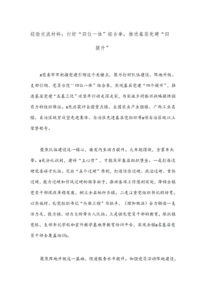 经验交流材料：打好“四位一体”组合拳推进基层党建“四提升”.docx