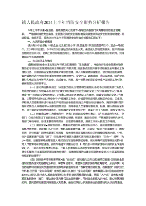 镇人民政府2024上半年消防安全形势分析报告.docx