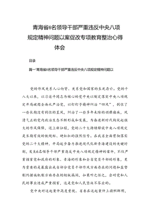 2024青海省6名领导干部严重违反中央八项规定精神问题以案促改专项教育整治心得体会（共8篇）.docx