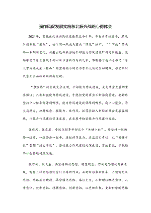 强作风促发展实施东北振兴战略心得体会.docx