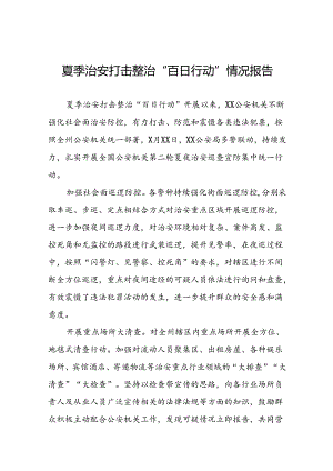 2024夏季治安打击整治“百日行动”工作总结15篇.docx