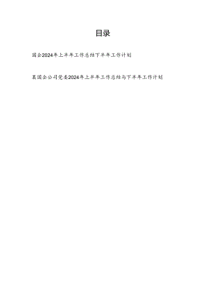 国企公司2024年上半年工作总结下半年工作计划和党委抓党建2024上半年工作总结与下半年工作计划.docx