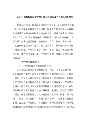 (11篇)组织开展2024年度党纪学习教育以案促改个人剖析剖析材料（最新版）.docx