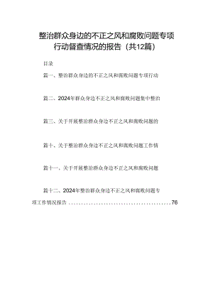 整治群众身边的不正之风和腐败问题专项行动督查情况的报告12篇（详细版）.docx