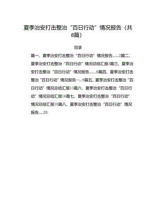 (八篇)夏季治安打击整治“百日行动”情况报告(精品).docx