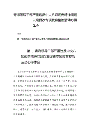 2024青海领导干部严重违反中央八项规定精神问题以案促改专项教育整治活动心得体会（共8篇）.docx